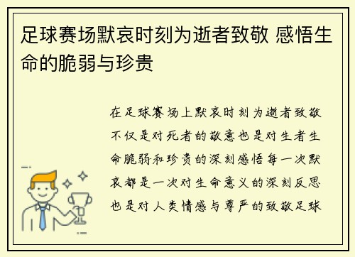 足球赛场默哀时刻为逝者致敬 感悟生命的脆弱与珍贵