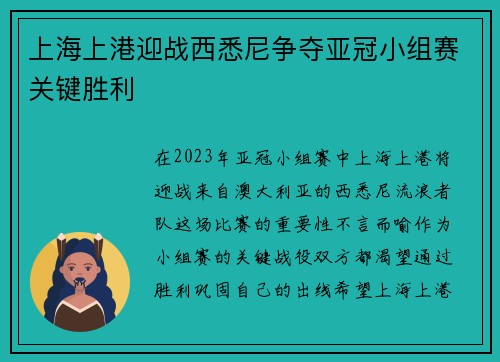 上海上港迎战西悉尼争夺亚冠小组赛关键胜利